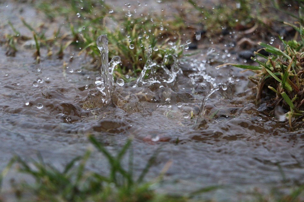 advantages of rain gardens