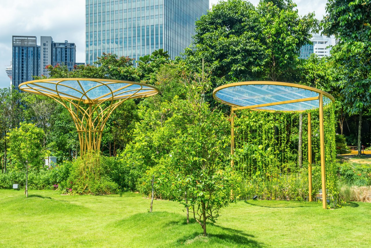 Landscape Construction for Parks